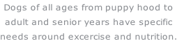 Dogs of all ages from puppy hood to adult and senior years have specific needs around excercise and nutrition.